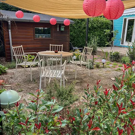 Retro Boshuisje Olijfje Met Omheinde Tuin Voor Natuurliefhebbers Putten Exterior photo