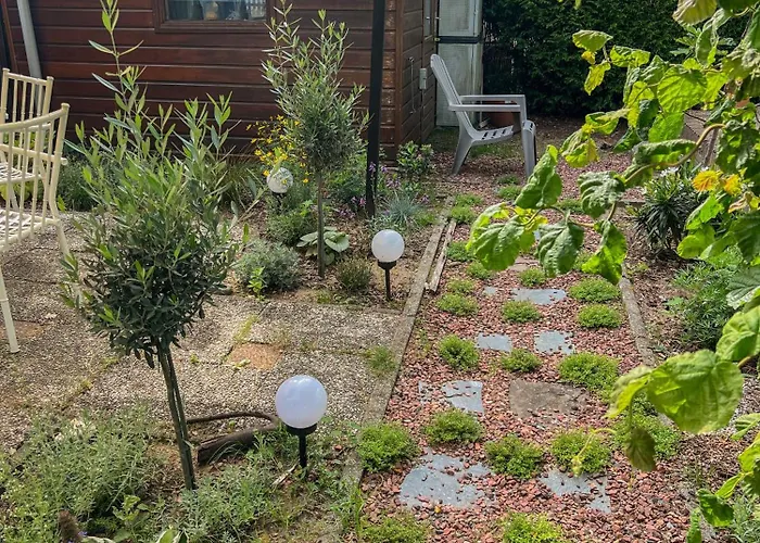 Retro Boshuisje Olijfje Met Omheinde Tuin Voor Natuurliefhebbers