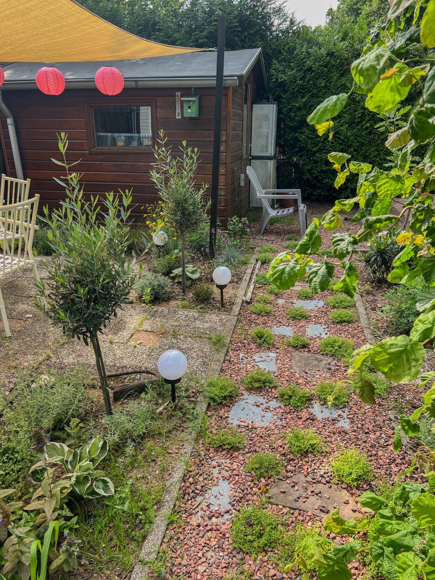 Retro Boshuisje Olijfje Met Omheinde Tuin Voor Natuurliefhebbers