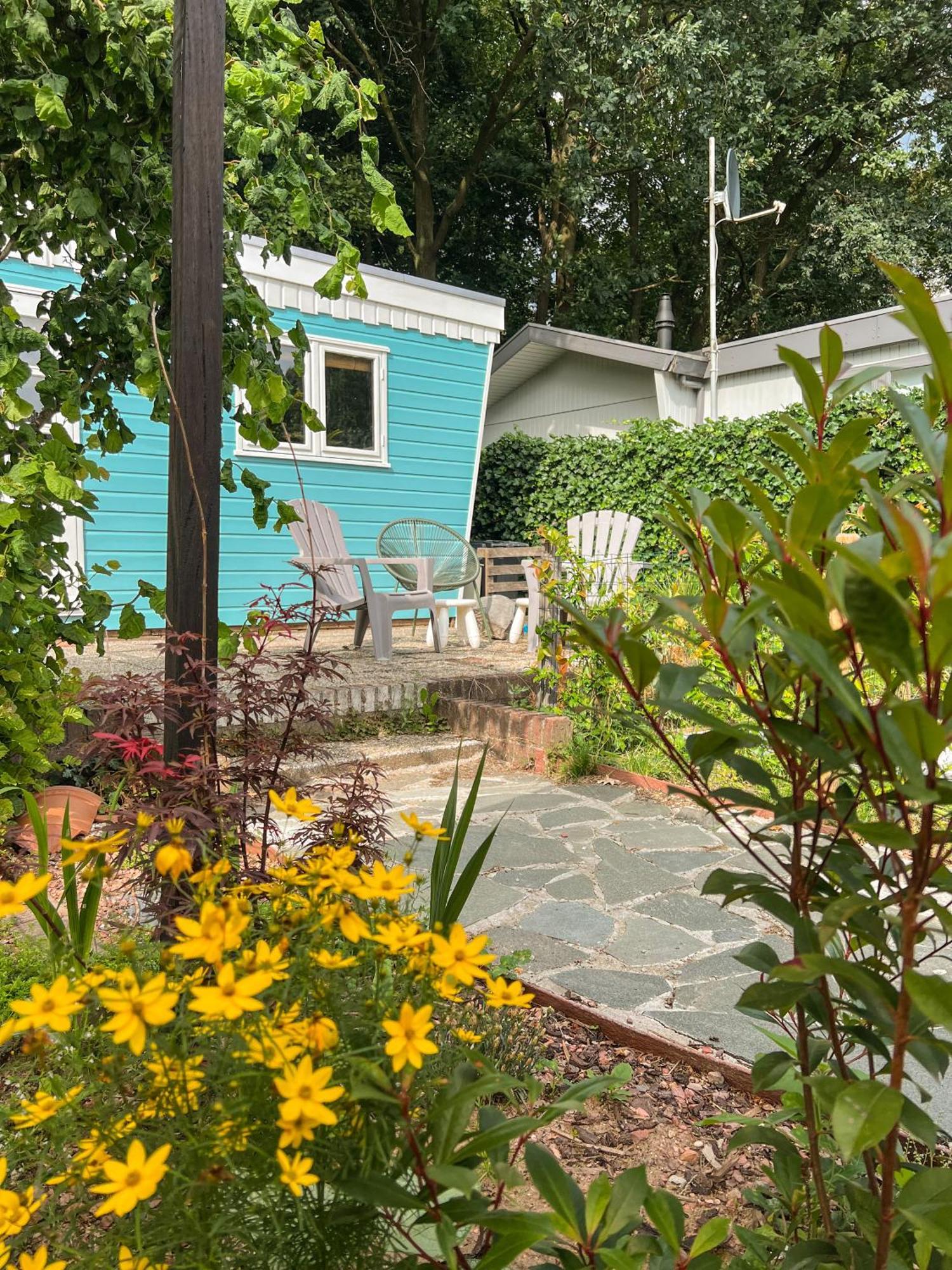 Chalet Retro Boshuisje Olijfje Met Omheinde Tuin Voor Natuurliefhebbers Putten