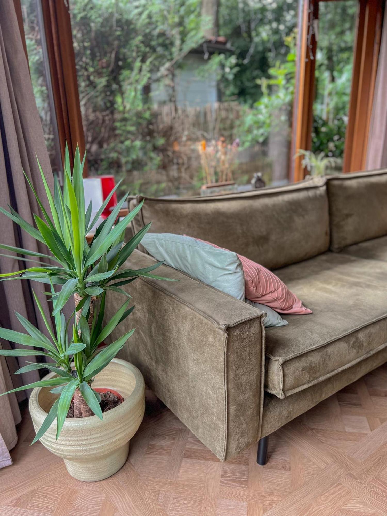 Chalet Retro Boshuisje Olijfje Met Omheinde Tuin Voor Natuurliefhebbers